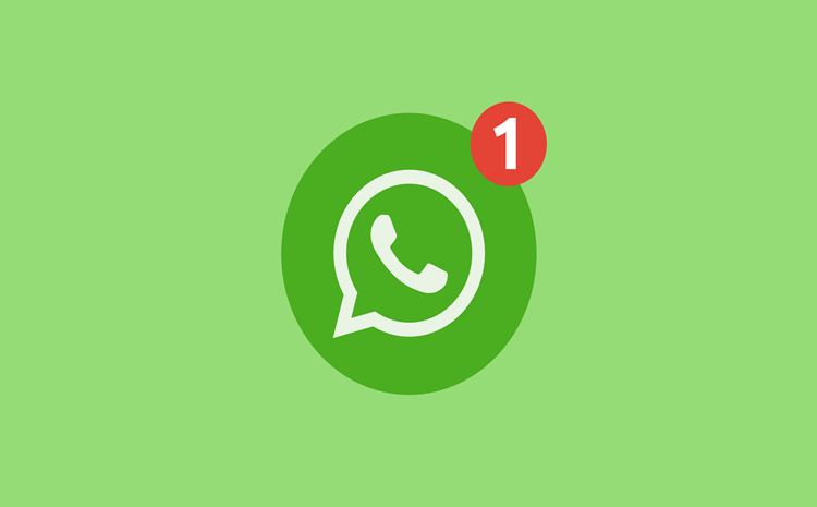 mengatasi whatsapp terblokir terkena spam